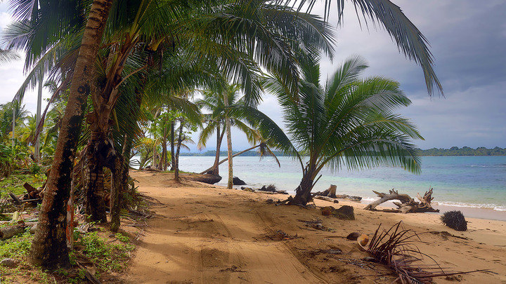 Bocas del Toro