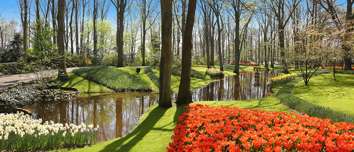 De "Keukenhof" high resolution panoramas - for extra large prints