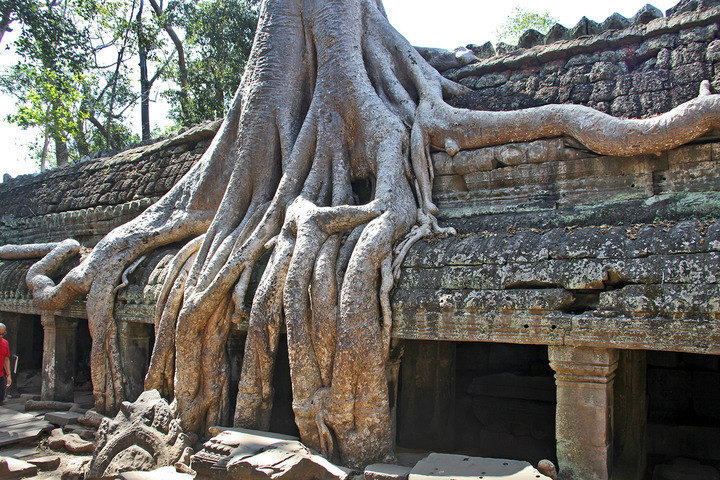 Cambodia - Angkor Wat - Angkor Thom