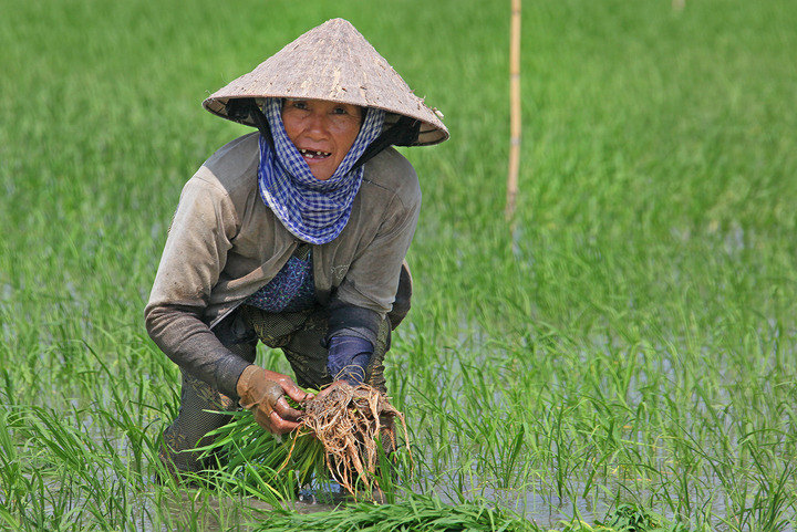 South Vietnam - Chao Doc - Can Tho