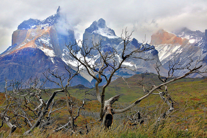 Torres del Paine