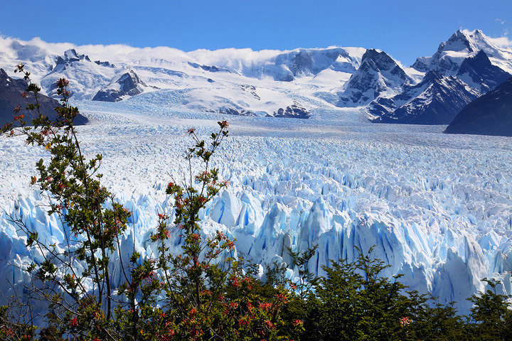 Calafate - Perito Moreno Glacier