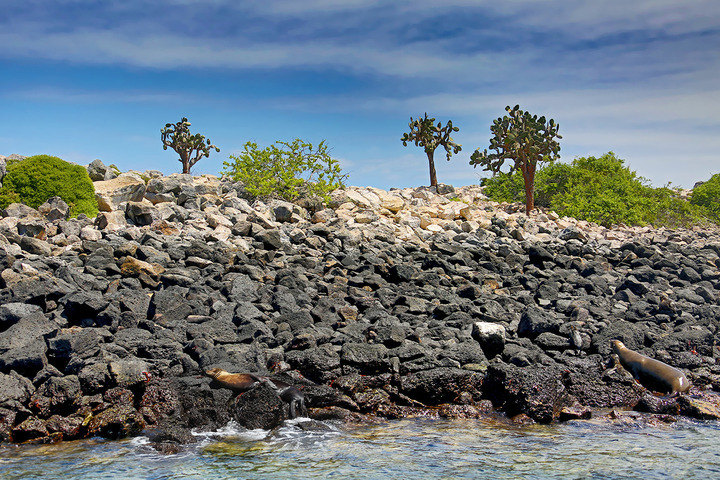 Galapagos - Santa Fe