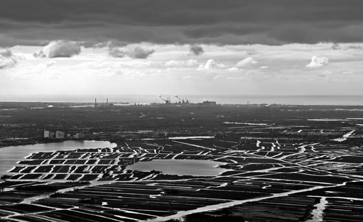 Dutch Dunes Coastal Area