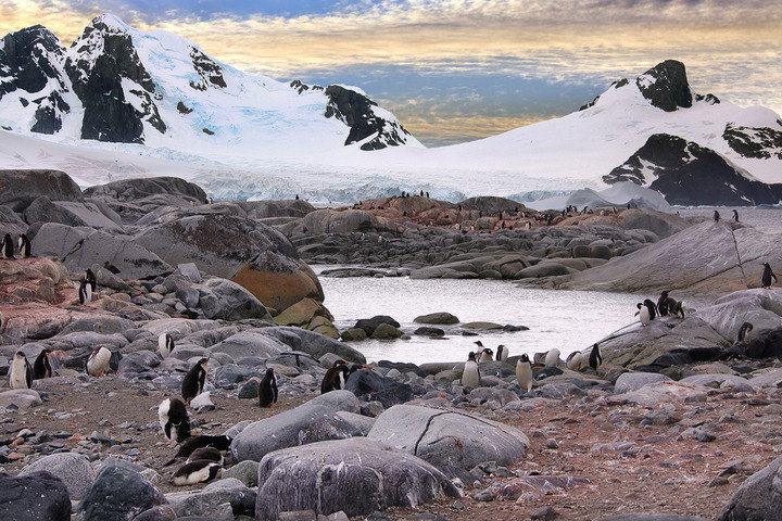 Vernadsky - Petermann Island - Lemaire Channel