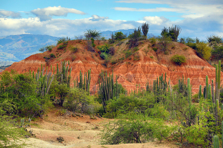 Tatacoa Desert